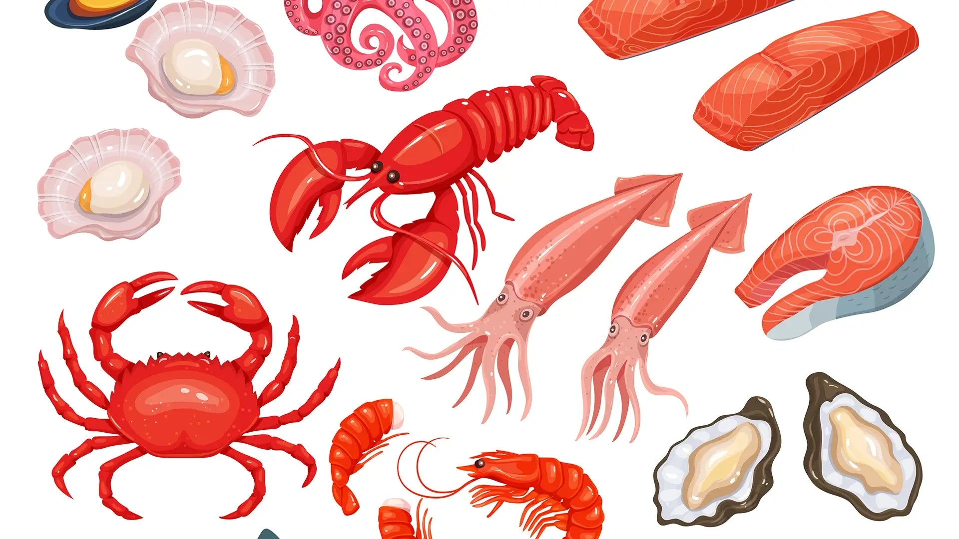 different drawings of shellfish